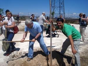 Românii au plantat 300 de copaci în Getafe