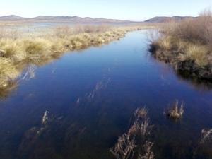 Un roman a murit inecat in lacul Finisterre