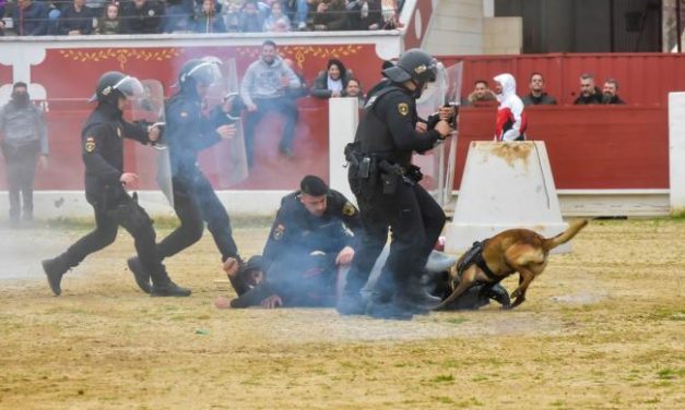 Torrejón – În total 25 de câini polițiști participă astăzi, duminică, la ora 13.00, la Expoziția Unității Canine a Poliției Locale din…