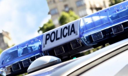 Comunitatea Madrid combate fenomenul bandelor violente de tineri cu pregătire specifică care vizează Poliția Locală