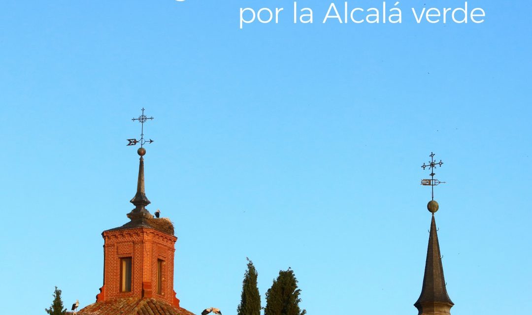 Alcalá – Concursul „Lăsați-vă purta de Alcalá” are deja câștigători ai celor 46 de nopți gratuite de hotel în secțiunea culturală ￼