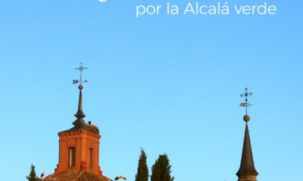 Alcalá – Concursul „Lăsați-vă purta de Alcalá” are deja câștigători ai celor 46 de nopți gratuite de hotel în secțiunea culturală ￼