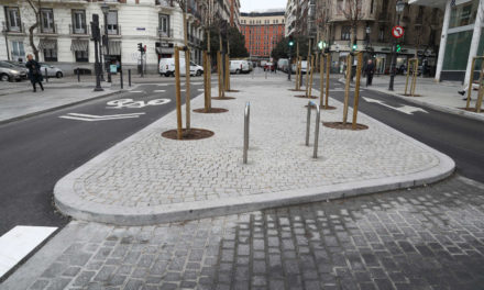 Planul Alcorques Cero: copaci sănătoși și siguri pentru bucuria locuitorilor din Madrid