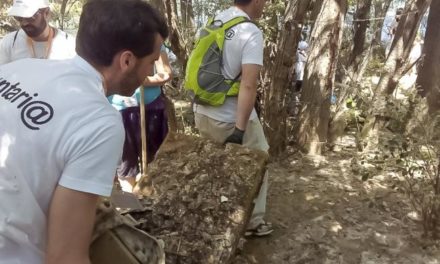 Torrejón – Sâmbăta viitoare, 12 martie, o zi de voluntariat ecologic deschisă rezidenților pentru a curăța malurile râului Henares…