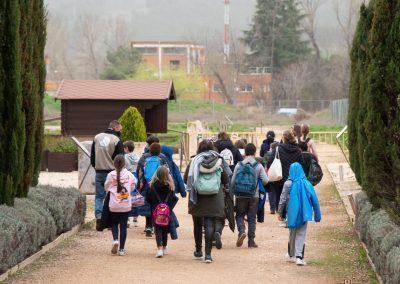 Alcalá – Atelierele școlare continuă la Casa de los Grifos de Complutum