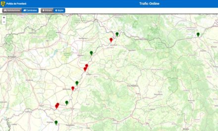 Măsuri pentru fluidizarea traficului la automarfare, la graniţa cu Ungaria