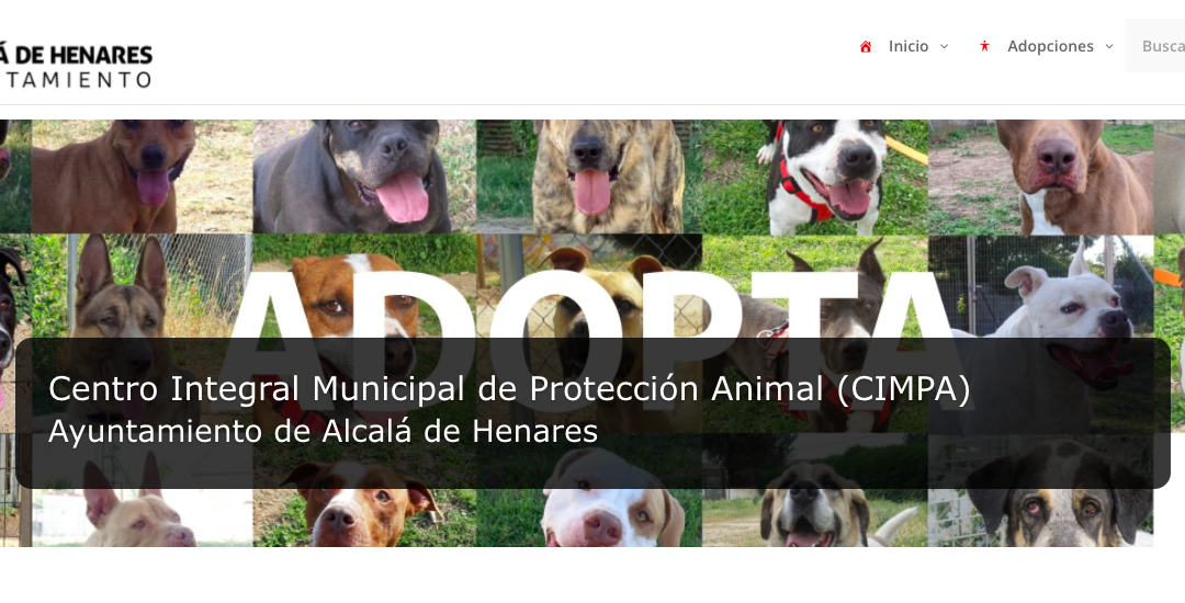 Alcalá – Centrul Municipal de Protecție a Animalelor din Alcalá de Henares lansează un nou site web