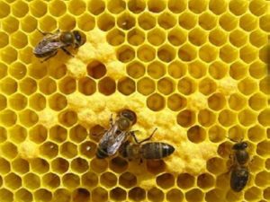 departamentul-de-actiune-climatica-plateste-595.342-de-euro-ajutor-de-agromediu-apicol-pentru-imbunatatirea-biodiversitatii-in-campania-2021