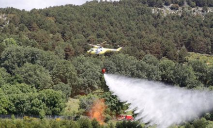 Comunitatea Madrid va pretinde în instanță de la o persoană costul stingerii unui incendiu forestier în Robledo de Chavela