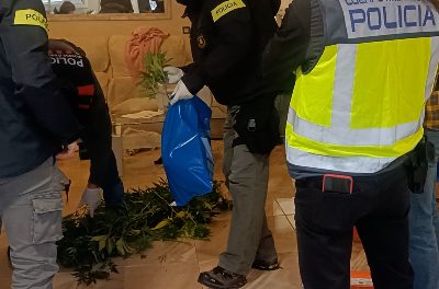 Mossos d'Esquadra, Poliția Națională și Guàrdia Urbana arestează 13 persoane și demontează o rețea de locuințe în care a fost adulterată, preparată și distribuită cocaina în Reus.