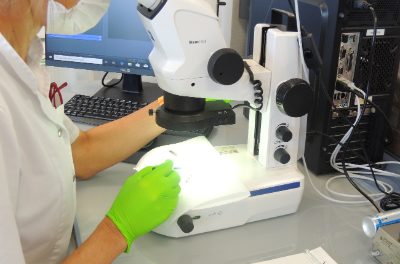 Laboratorul de Agricultura și Sănătatea Plantelor din Catalonia depășește 34 de mii de analize anuale pentru a monitoriza și întări starea de sănătate a plantelor
