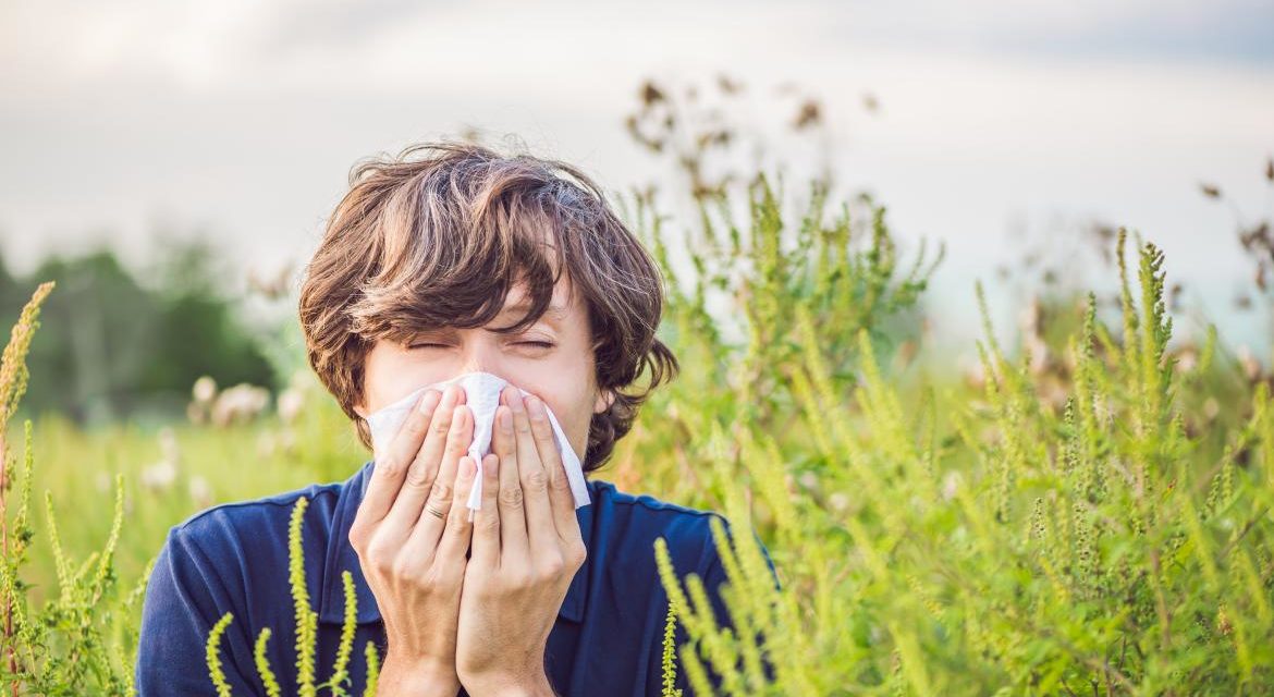 Comunitatea Madrid întărește informațiile pe care persoanele alergice le primesc despre nivelul de polen în primăvară
