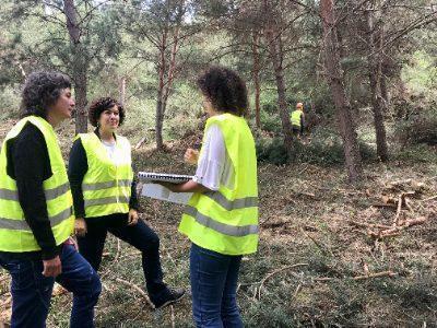 Departamentul de Acțiune Climatică investește peste 8 milioane de euro în lucrări de prevenire a incendiilor în județele Lleida și Alt Pirineu