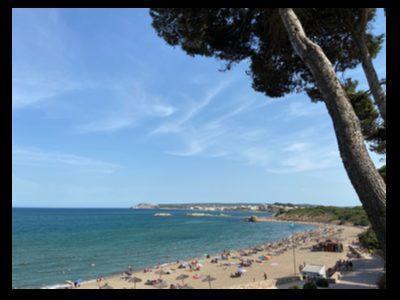 Municipalitățile de coastă solicită 5.828 de utilizări temporare pe plajele catalane în această vară