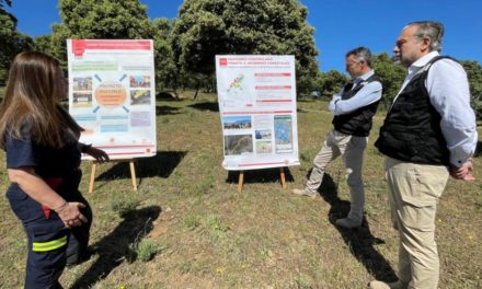 Comunitatea Madrid finalizează un proiect pilot pentru sarcini de pășunat controlat în lupta împotriva incendiilor forestiere