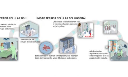 Utilizarea terapiei celulare NC1 în Comunitatea Madrid