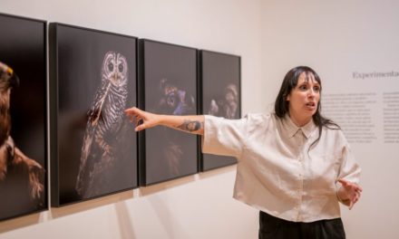 Alcalá – Expoziția fotografică Animalele, de Estela de Castro, ajunge în Santa María La Rica