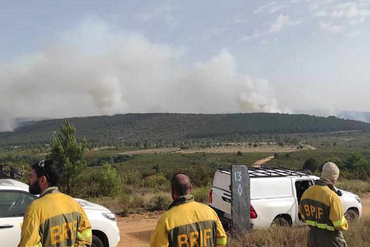 MITECO sprijină sarcinile de stingere a incendiilor forestiere în Riofrío de Aliste (Zamora), Yesa (Navarra) și Artesa de Segre (Lleida)