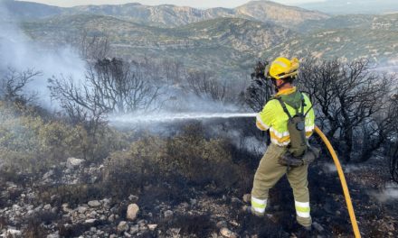 Comunitatea Valenciana: Generalitati isi mentine toate resursele de prevenire si extinctie in alerta din cauza temperaturilor ridicate care vor continua pana…