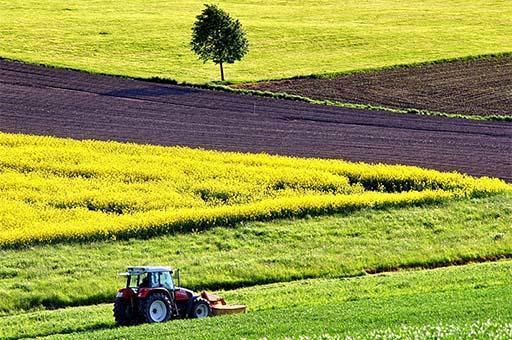 Fermierii și fermierii pot beneficia de reducerile incluse în decretul-lege regal pentru secetă și în ordinul modulelor IRPF 2021