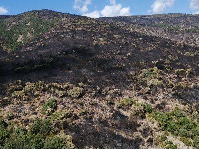Pompierii Generalitati controleaza incendiul forestier Baldomar in Artesa de Segre (La Noguera)