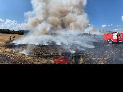 Incendiu de vegetație în Artesa de Segre (la Noguera)