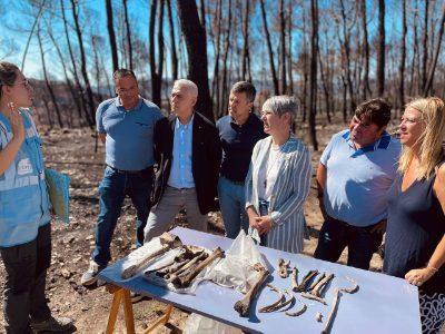 Ciuró: „Am localizat mai mult de douăzeci de puncte cu resturi osoase în zona recent arsă din Corbera d'Ebre”