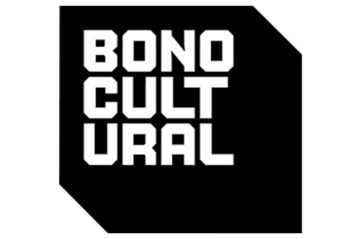 Pe 18 iulie va fi deschis procesul de aderare a companiilor și entităților culturale la programul Youth Cultural Bonus