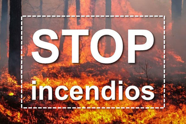 MITECO avertizează asupra riscului extrem de incendiu și reamintește necesitatea colaborării
