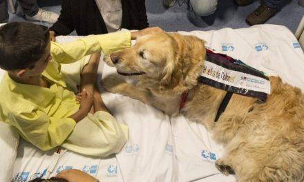 Spitalul 12 de Octubre reia terapia față în față asistată de câini pentru copiii internați în Unitatea de Terapie Intensivă și Reanimare Pediatrică