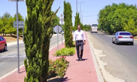 Torrejón – Ornamentarea medianei drumului Base la intrarea în Torrejón de Ardoz a fost complet renovată, datorită Pla…