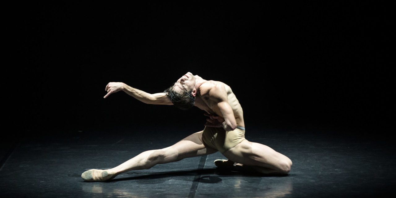 Sergio Bernal, dansatorul și visul lui