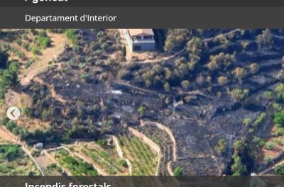 Departamentul de Interne lansează un nou site web despre incendiile forestiere