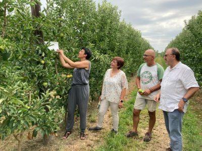 Un nou plan de acțiune va face posibilă realizarea unei utilizări mai durabile a produselor fitosanitare în Catalonia