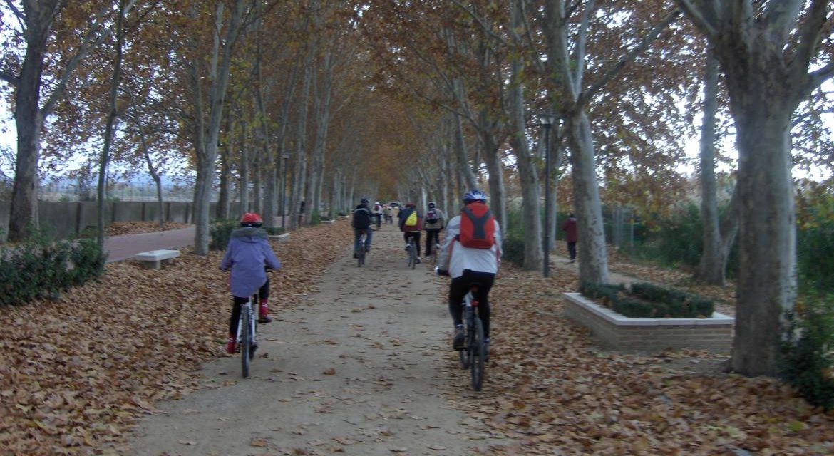 Comunitatea Madrid programează în această vară peste 100 de activități ecologice gratuite pentru a aduce natura mai aproape de cetățeni