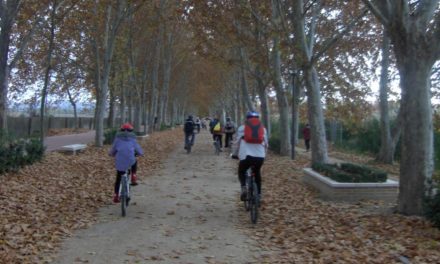 Comunitatea Madrid programează în această vară peste 100 de activități ecologice gratuite pentru a aduce natura mai aproape de cetățeni