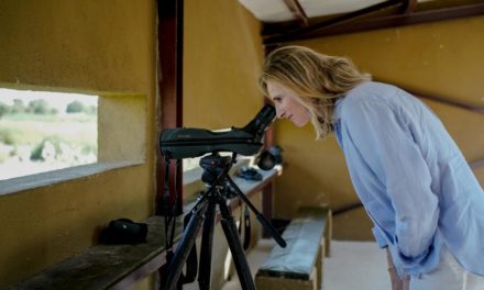 Comunitatea Madrid deschide un observator de păsări în Laguna de San Juan pentru investigarea păsărilor acvatice
