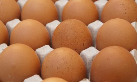 Comunitatea Madrid își amintește să ia măsuri de precauție extreme cu alimentele care conțin ouă pentru a evita salmoneloza