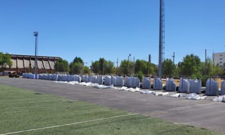 Alcalá – Consiliul Local reînnoiește gazonul terenului municipal de rugby Luisón Abad