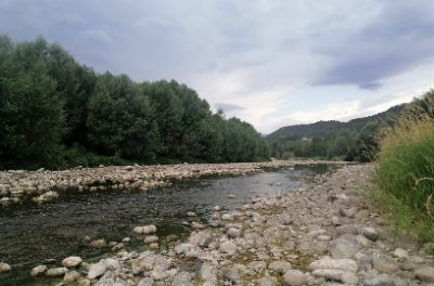 Departamentul de Acțiune Climatică, Alimentație și Agenda Rurală salvează peste 22 de mii de exemplare de pești nativi din râurile catalane