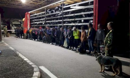 Automarfare, oprite la frontiera cu Ungaria.  82 de cetățeni străini depistaţi ascunşi în compartimentele pentru marfă