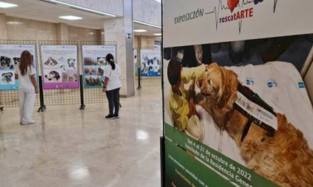 Spitalul 12 de Octubre organizează Expoziția RescatARTE pentru a evidenția beneficiile intervențiilor asistate de animale în recuperarea pacientului