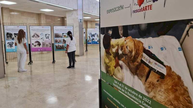 Spitalul 12 de Octubre organizează Expoziția RescatARTE pentru a evidenția beneficiile intervențiilor asistate de animale în recuperarea pacientului