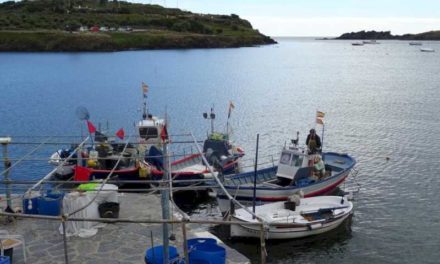 Undă verde pentru realizarea unui recensământ exclusiv al bărcilor care vor putea pescui în zona Parcului Natural Cap de Creus și golful Cadaqués