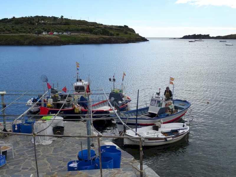 Undă verde pentru realizarea unui recensământ exclusiv al bărcilor care vor putea pescui în zona Parcului Natural Cap de Creus și golful Cadaqués