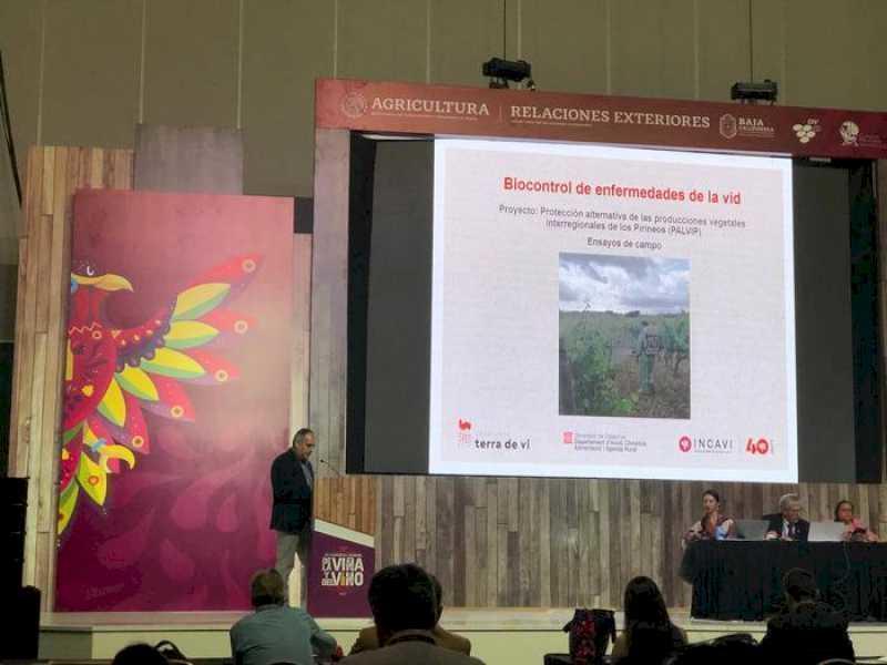 Cercetări viticole catalane prezente la cel de-al 43-lea Congres Mondial al Viei și Vinului, în Mexic