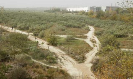 Comunitatea Madrid va recupera 80.000 de metri pătrați de teren public din Cañada Real pentru spații verzi