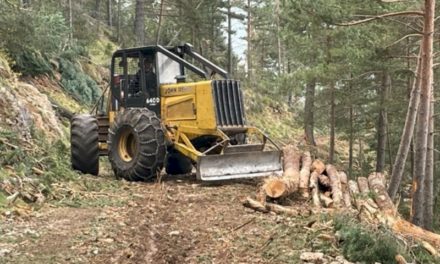 S-au licitat 23.258 de tone de lemn din pădurile publice din Catalonia