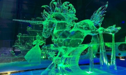 Torrejón – Primul Festival Internațional de Sculptură de Gheață, Festivalul de Gheață, cu cea mai mare expoziție de figuri de gheață din Europa, va fi…
