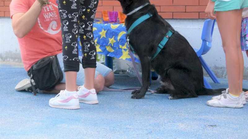 Spitalul Fundației Alcorcón dezvoltă un program de îngrijire cu câini pentru a îmbunătăți situația copiilor victime ale abuzului și a familiilor acestora